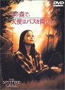 【中古】DVD この森で、天使はバスを降りた HPC2517 /00110