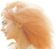【中古】CD 加賀美セイラ, Seira, Tim Jense Summer Day&Night VPCC82254 /00110 2,200円