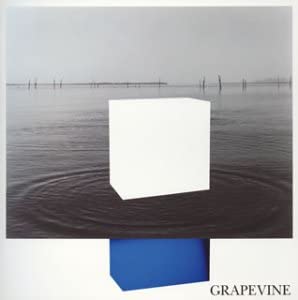 【中古】CD GRAPEVINE, 田中和将, 高野勲; イデアの水槽 PCCA01958 /00110