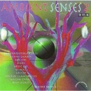 Artist Name: C - 【中古】CD Various Ambient Senses 2 CDTOT16 /00110