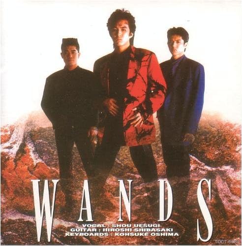 WANDS ネックレス 上杉昇 ドッグタグ 楽天市場】wands 上杉昇の通販