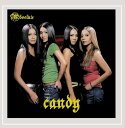 【中古】輸入CD Candy Absolute /00110