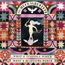【新品】米2LP Decemberists What A Terrible World, What A Beautiful World B002212001 C...