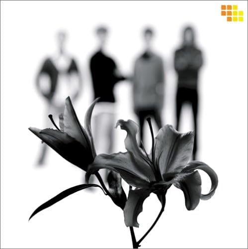 CD MONKEY MAJIK, Misao Urushizaka, Maynard Plant; Blaise Plant Lily UHR4 未開封 /00110