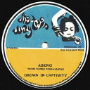 【新品】欧7” Abeng, Med Tone All Stars / Ma Grown In Captivity / Dub In Captivity DTW...