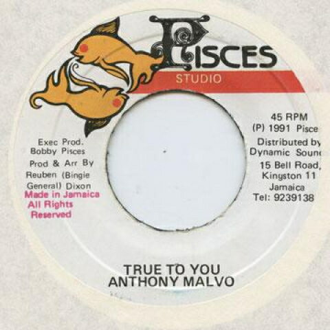 ・アーティスト Anthony Malvo ・タイトル True To You ・レーベル・型番 ・フォーマット 7" ・コンディション(盤) 新品 (M) ・コンディション(ジャケット) ・コンディション(帯) オビなし ・特記事項 サンプル画像です。実際の商品の画像ではありません 商品写真はバーコード/カタログ番号に対応したサンプル画像ですので、お送りする商品の画像ではありません。帯やライナーなどの付属品は、特記事項に記載されている場合のみ含まれます。プロモやカラーレコードなどの仕様についても、該当する場合のみ特記事項に記載しています。 【ご購入前に必ずご確認ください】 ・本店サイト(www.recordcity.jp)とは価格、送料が違います ・本店サイト、その他支店のオーダーとは同梱発送できません ・注文確定後に別の注文を頂いた場合、注文同士の同梱は致しかねます。 ・別倉庫から発送しているため、店頭受け渡しは対応しておりません ・一部商品は他の通販サイトでも販売しているため、ご注文のタイミングによっては商品のご用意ができない場合がございます。 ・土日祝日はお休みです 金曜・祝前日9時以降のご連絡またはご入金は、返答または発送が週明け・祝日明けに順次対応となります。 ・ご購入後のキャンセル不可 ご購入後のキャンセルはいかなる理由においてもお受けできません。ご了承の上、ご購入くださいませ。 ・日本郵便(ゆうパック/ゆうメール)によるお届けになります。 ・中古品であることをご理解ください 当ストアでは中古商品を主に販売しております。中古品であることをご理解の上ご購入ください。また、一部商品はRecordCityオンラインストアで試聴可能です。 ・返品について お客様のご都合による返品は一切承っておりません。 表記の内容と実際の商品に相違がある場合、また針飛び等で返品・返金をご希望される場合は、商品の到着後1週間以内にご連絡ください。商品の返送をこちらで確認後、キャンセル・返金を行います。 コンディションVG以下の商品は返品できません。プレイに影響のない表面のこすれ傷、プレス起因のノイズ盤は返品の対象外です。 【コンディション表記】 ・ほぼ新品(M-)(Like New) 完全な新品。未使用。当店ではほぼ使用しません ・非常に良い(EX)(Excellent) 中古盤として美品な状態。わずかな経年を感じるものの傷みを感じさせない、当店基準で最高の状態 ・良い(VG+)(Very Good Plus) 丁寧に扱われた中古品で、軽い使用感がみられる。 ・可(VG)(Acceptable) 使い込まれた中古品で、「良い」よりもさらに使用感がみられる。 ・悪い(VG-)(Bad) 状態が悪いアイテム。使用の保障はなく、再生不可、針飛び、目立つノイズがあるかもしれない。状態によるクレーム不可。返品不可。 ・非常に悪い(G)(Very Bad) 「悪い」よりさらに状態が悪いアイテム。使用の保障はなく、再生不可、針飛び、目立つノイズがあるかもしれない。状態によるクレーム不可。返品不可。 ・ジャンク(Fair)(Junk/Fair) 割れている、反っている、水ダメージがある、カビ、ジャケットが分離している、ひどい書き込み、ひどい擦れなど最低の状態。使用の保障はなく、再生不可、針飛び、目立つノイズがあるかもしれない。状態によるクレーム不可。返品不可。 ・ジャンク(Poor)(Junk/Poor) 割れている、反っている、水ダメージがある、カビ、ジャケットが分離している、ひどい書き込み、ひどい擦れなど最低の状態。使用の保障はなく、再生不可、針飛び、目立つノイズがあるかもしれない。状態によるクレーム不可。返品不可。