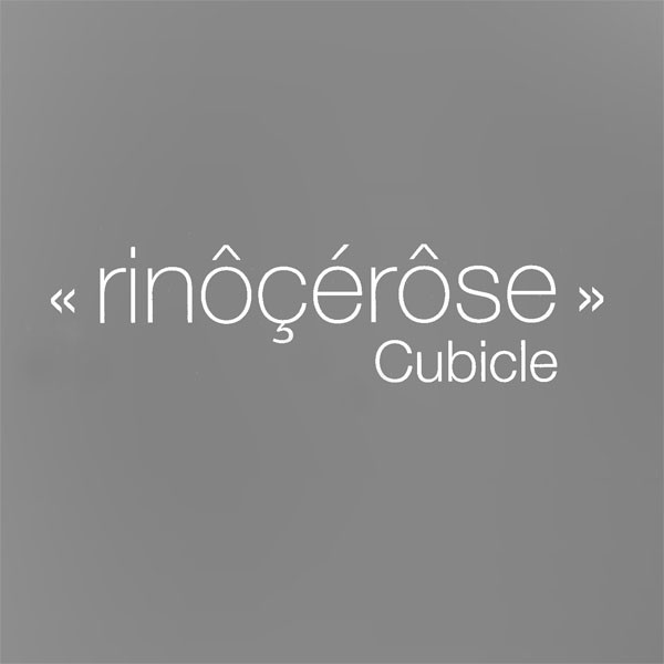 CD Rin r se Cubicle VVR5040903PPROM V2 紙ジャケ プロモ /00110