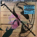 【中古】12” Afrika Bambaataa Looking For The Perfect Beat 12AP3015 CBS SONY Japan /0...