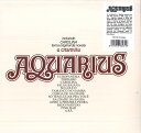 【新品】西LP Aquarius Aquarius VAMPI273 Vampi Soul, Glossy M /00260