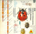 【中古】LP Stibilj, Makoto Shinohara, Les Epervier De Ta Faiblesse, Domine / Alterna...