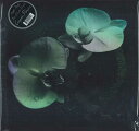 【新品】米LP Mike Patton, Jean-Claude Vanni Corpse Flower IPC211LP Ipecac Recordings ...