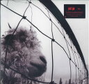 【新品】米LP Pearl Jam Vs. 88697843131JK1 Epic, Legacy /00400