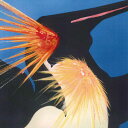 【新品】7” South Penguin Bubbles / Mad Love P76256 P-Vine Records /00080