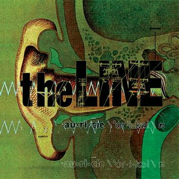 米CD Line Auricle YAE2 Volcom Entertainment, Stone Entertainment /00110