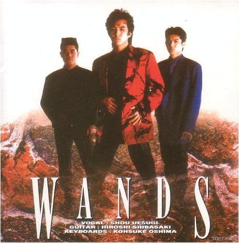 【中古】CD WANDS, 上杉昇, 大島康祐; 明石昌夫 WANDS TOCT6504 TM Factory /00110