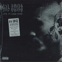 【新品】米LP Lil Skies Life Of A Dark Rose RCV1676961 Atlantic, Rhino Reco /00260