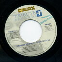 【中古】英7” Dennis Brown Tribute Song TRI001 Tribute Records /00080