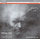 【中古】独CD Stephan Moller (5) , Ludwig va Grosse Fuge,Die Letzten Klavierstucke CTH2022 Thorofon /00110