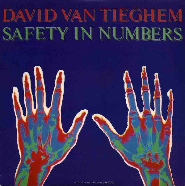【中古】LP David Van Tieghem Safety In Numbers 20151 Private Music /00260