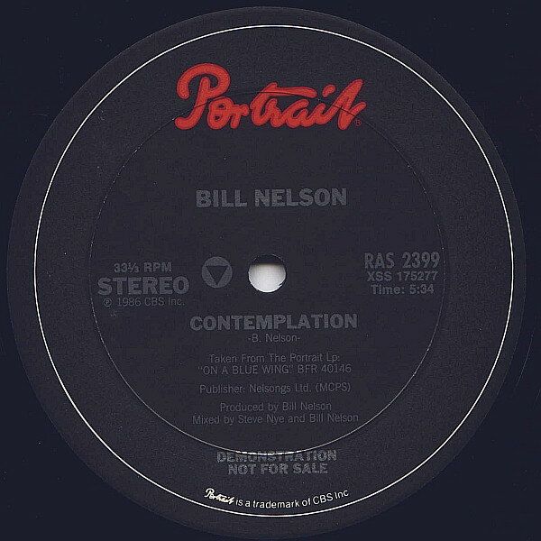 12” Bill Nelson Contemplation RAS2399 Portrait /00250