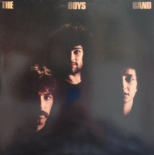 【中古】LP Boys Band Boys Band E160047A ASYLUM /00260