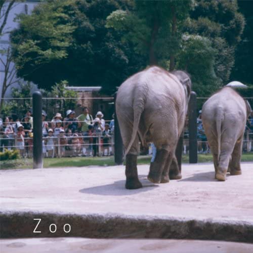 【中古】CD guitar plus me ZOO CXCA1201 /00110