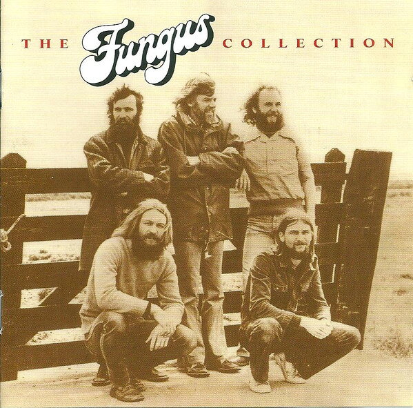 Artist Name: D - 【中古】2discs CD Fungus The Fungus Collection 724352607525 EMI /00220
