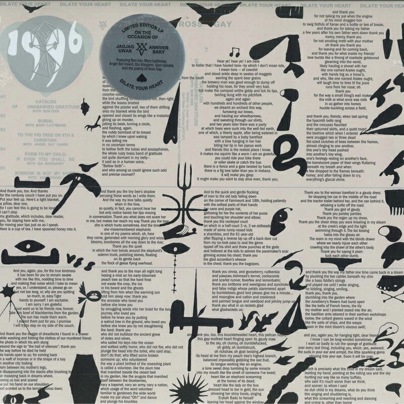 【新品】米LP Ross Gay Dilate Your Heart JAG401LPC1 Jagjaguwar /00260