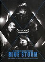 【中古】韓国2DVD CNBLUE Blue Storm : 2011 CNBlue Live Concert DVD 2012KDVD0002 SBS Contents Hub Co. /00220
