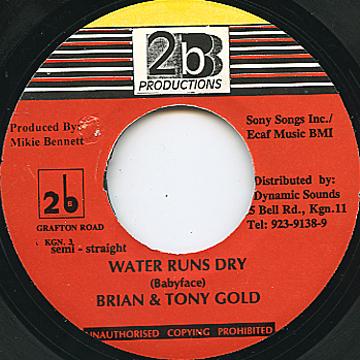 【新品】ジャマイカ7” Brian &amp; Tony Gold Water Runs Dry 2B /00048