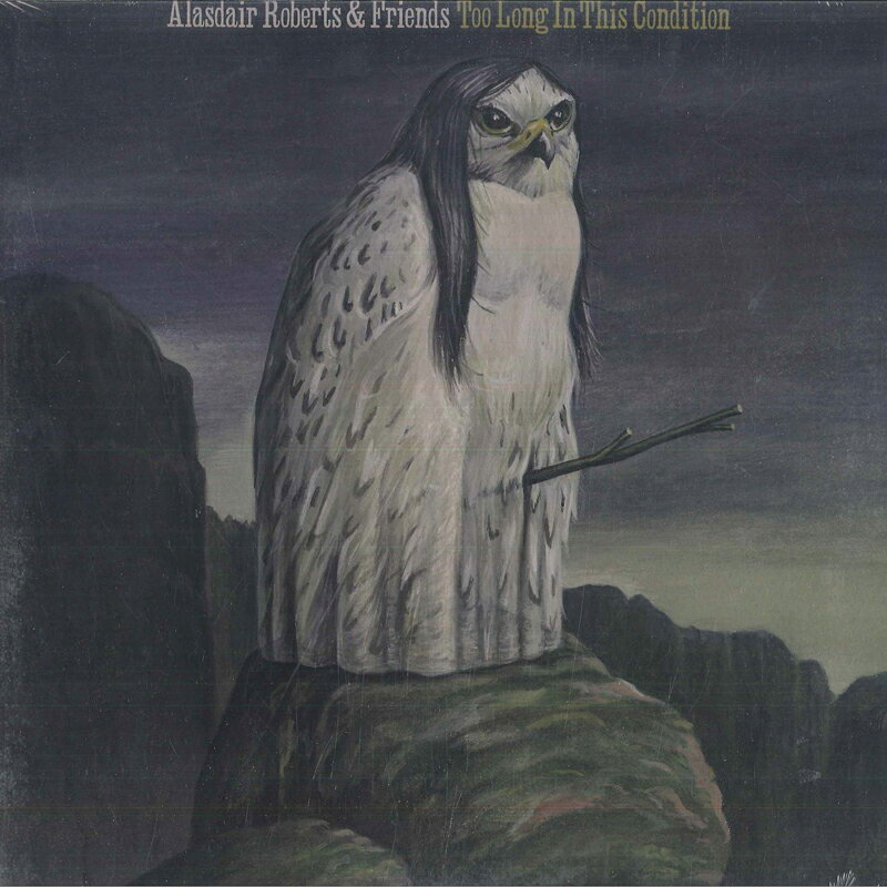 【新品】欧LP Passenger Runaway PASS18VP1 Black Crow Records (3) /00260