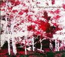 【中古】CD OrganLanguage OrganLanguage /00110