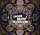 【中古】CD POSSIBILITY Now or Never AKCY58006 /00110