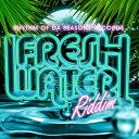 【中古】CD RHYTHM OF DA SEASONS RECORDS Freshwater Riddim RODS99902 /00110