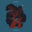 【新品】英2LP Mammal Hands Gift From The Trees GONDLP061 Gondwana Records /00520