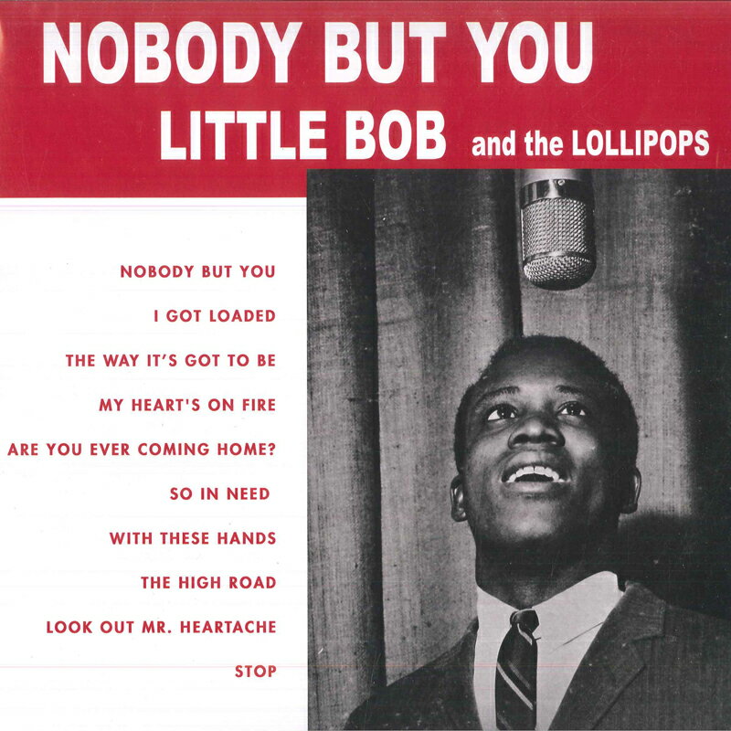 쥳ɥƥ ŷԾŹ㤨֡ڿʡLP Lil Bob & The Lollipops Nobody But You EJ014 Mississippi Records ̤ /00260פβǤʤ2,574ߤˤʤޤ