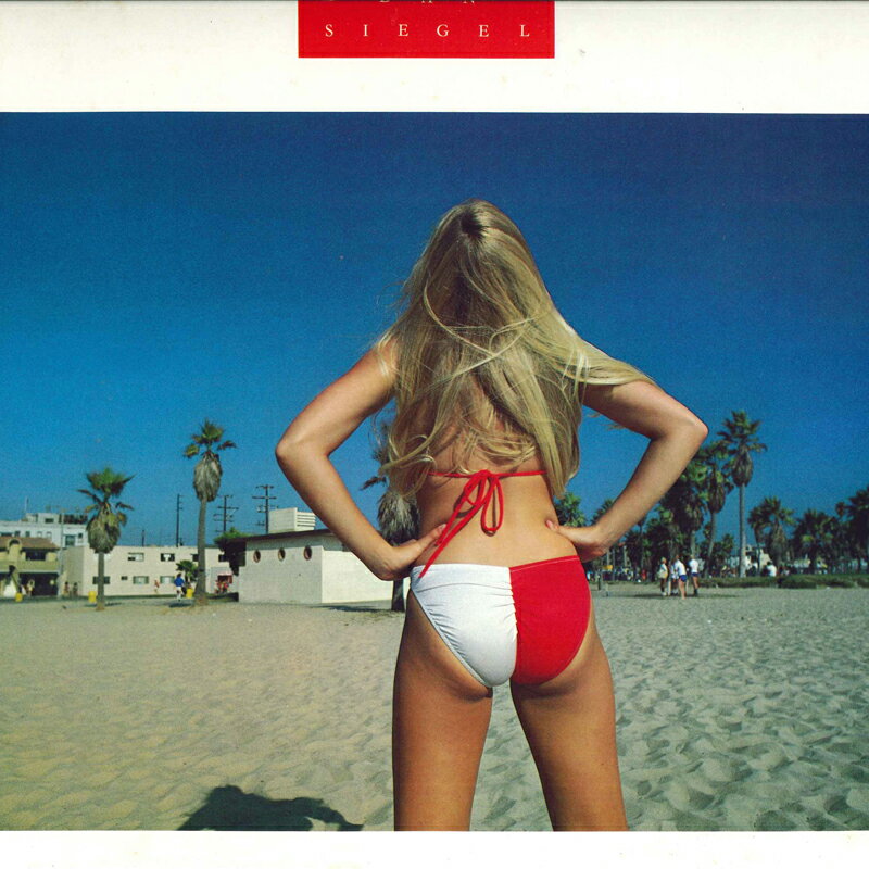 Artist Name: R - 【中古】LP Dan Siegel Dan Siegel P11190 ELEKTRA /00260