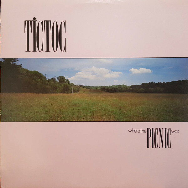 LP Tictoc Where The Picnic Was DLP0704 Dallcorte Records /00260