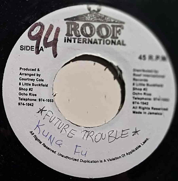 7” Future Troubles Kung Fu NONE Roof International /00080