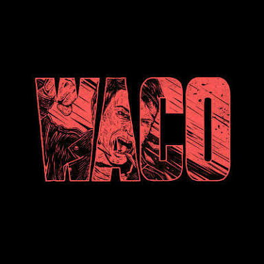 CD Violent Soho Waco SD16192 SideOneDummy Records 未開封 /00110