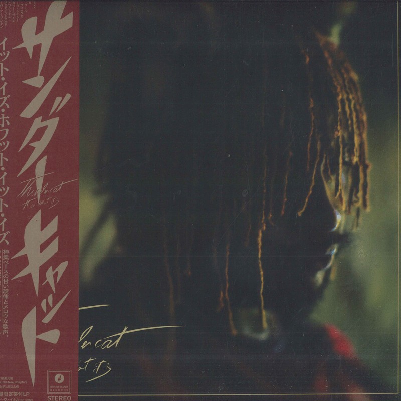 【新品】LP Thundercat It Is What It Is (Red Vinyl/