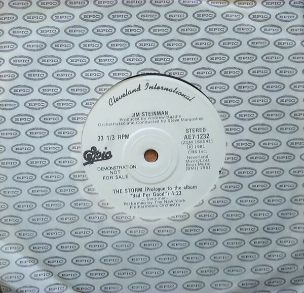 【中古】7” Jim Steinman Rock And Roll Dreams Come Through AE71232PROMO Epic プロモ /00080