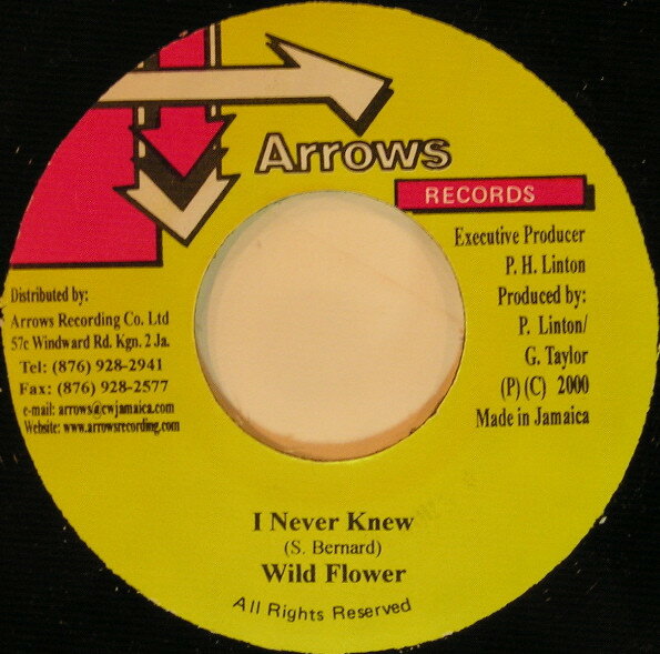 艺人名: M - 【中古】ジャマイカ7” Wild Flower I Never Knew NONE Arrows Records /00080