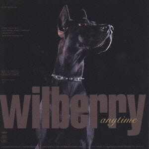 CD wilberry, 城理生 亀田誠治 anytime UPCH1029 Polydor /00110