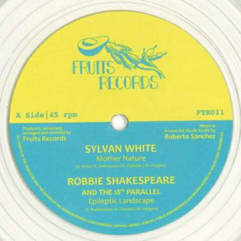 12” Sylvan White Robbie Shakespea Mother Nature Epileptic Landscape / Love Triangle FTR011 Fruits Records /00230