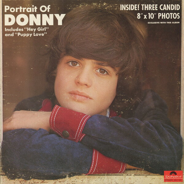 LP Donny Osmond Portrait Of Donny 2912008 POLYDOR /00260