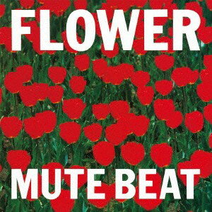 CD MUTE　BEAT FLOWER (UHQCD) PCCA50329 Pony Canyon 未開封 /00110
