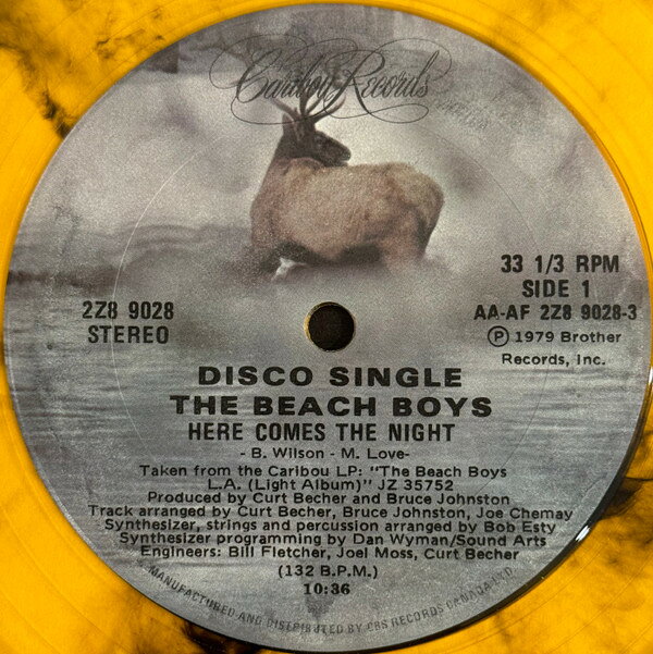 12” Beach Boys Here Comes The Night 2Z89028 Caribou Records /00250