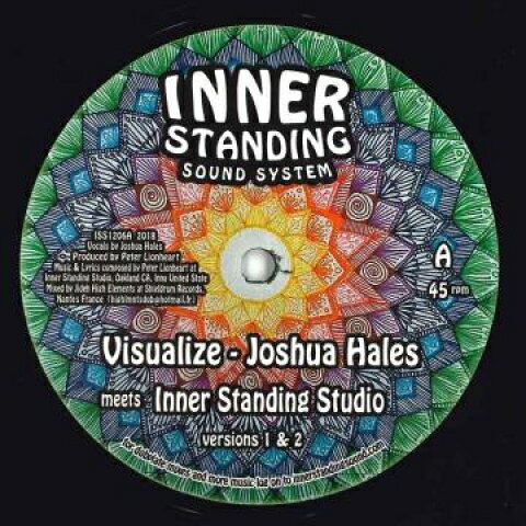 12” Joshua Hales, Inner Standing S Visualize Version / Feel The Pain Version ISS1206 Inner Standing EU /00185