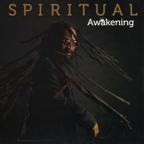 LP Spiritual Awaking VPRL2488 VP US /00250